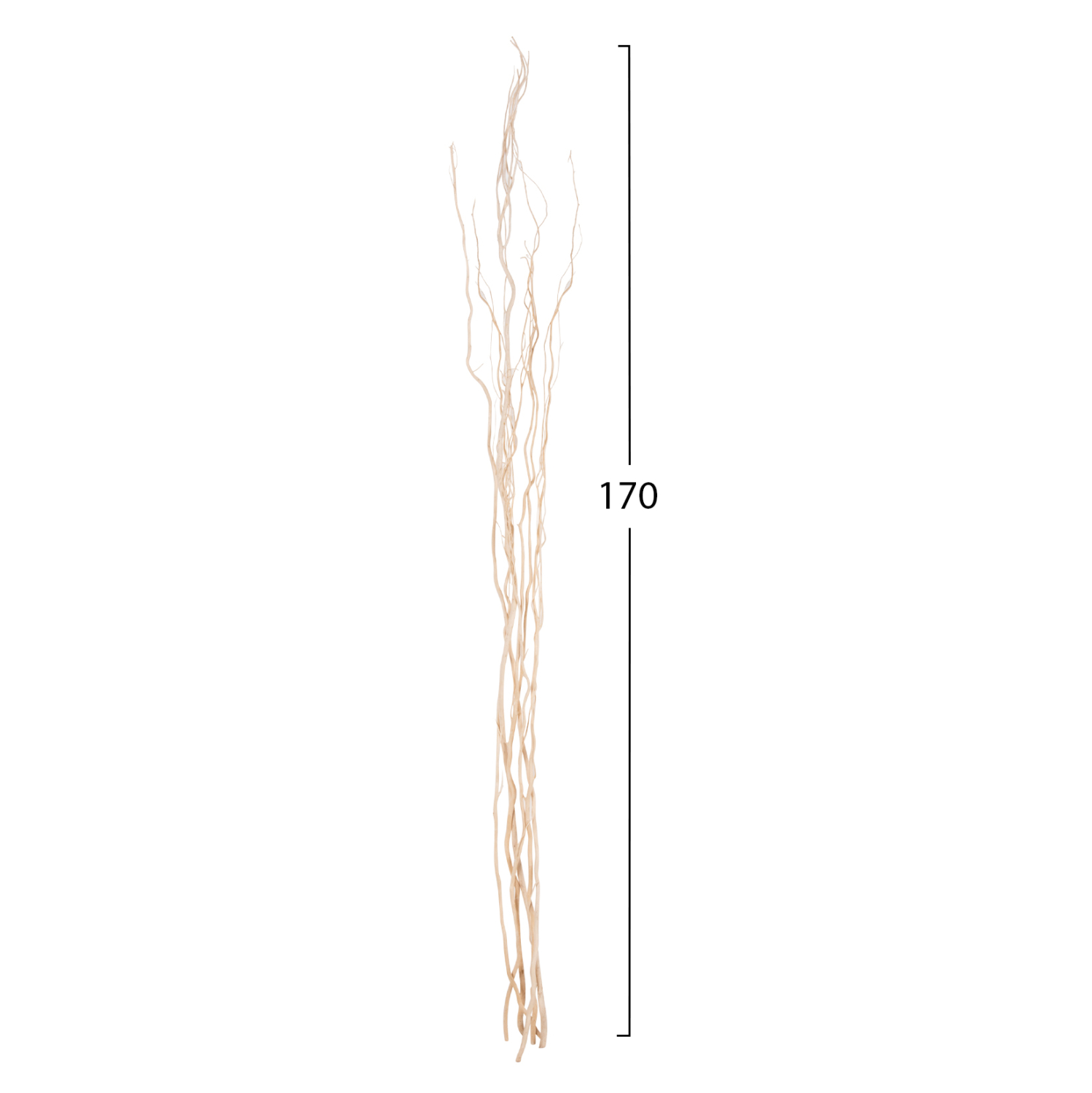 ΔΙΑΚΟΣΜΗΤΙΚΟ ΜΠΟΥΚΕΤΟ 5ΤΜΧ ΑΠΟΞΗΡΑΜΕΝΩΝ ΚΛΑΔΙΩΝ ΙΤΙΑΣ HM7966 ΕΚΡΟΥ 170Υεκ. - Image 2