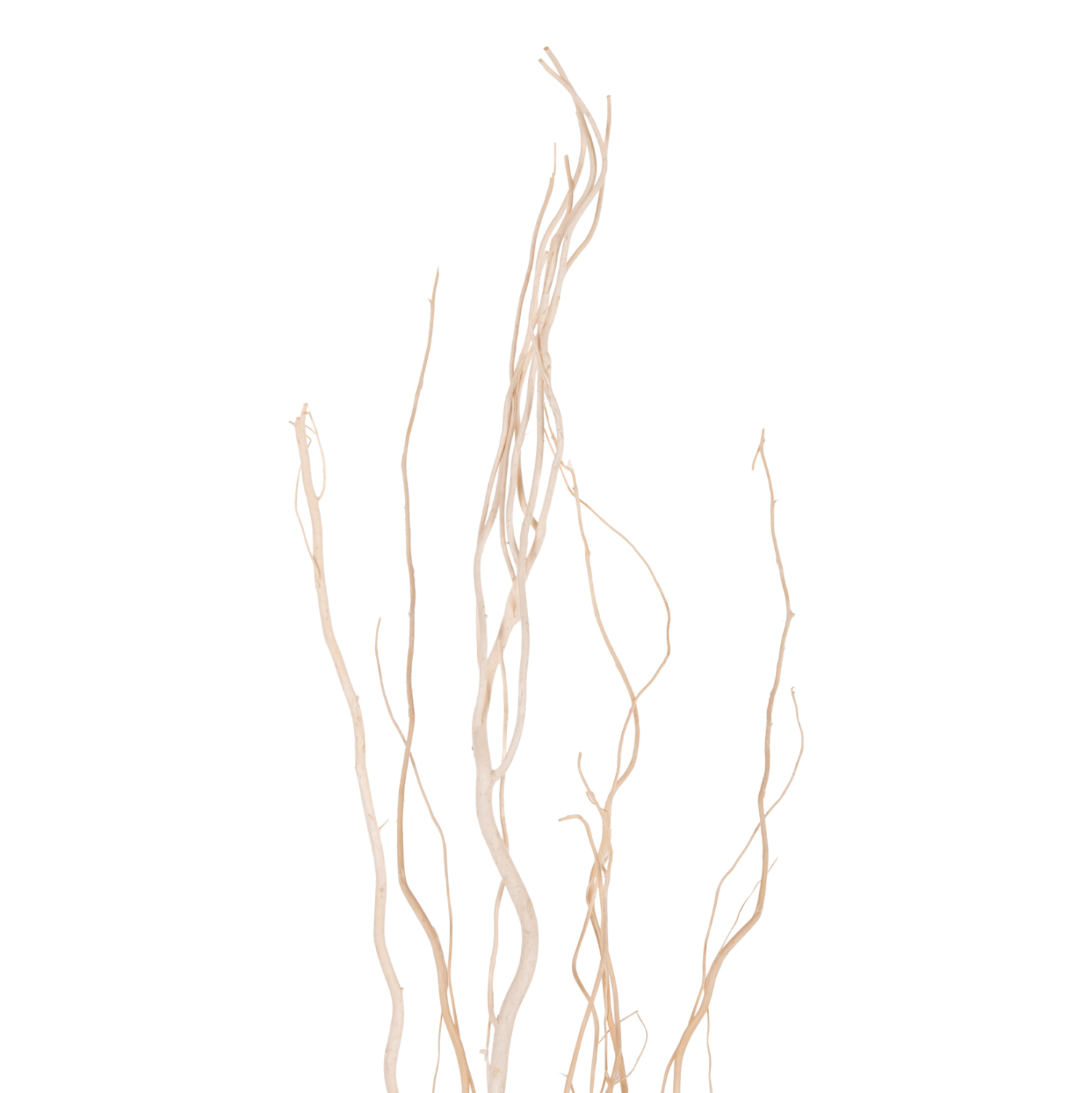 ΔΙΑΚΟΣΜΗΤΙΚΟ ΜΠΟΥΚΕΤΟ 5ΤΜΧ ΑΠΟΞΗΡΑΜΕΝΩΝ ΚΛΑΔΙΩΝ ΙΤΙΑΣ HM7966 ΕΚΡΟΥ 170Υεκ. - Image 3