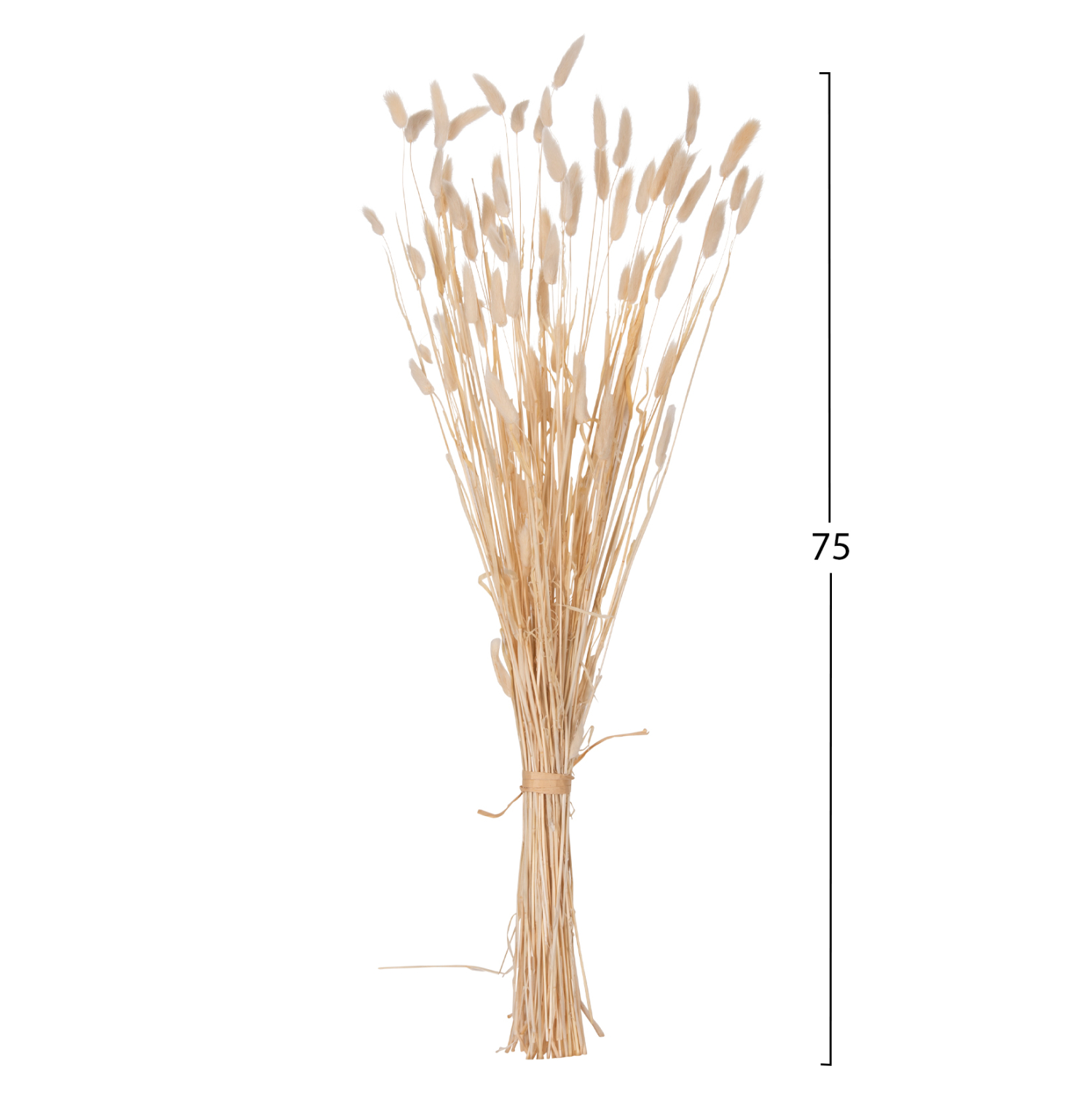 ΔΙΑΚΟΣΜΗΤΙΚΟ ΜΠΟΥΚΕΤΟ ΑΠΟΞΗΡΑΜΕΝΟ HM7959 RABBIT TAIL- CREAM 50gr 76Υεκ. - Image 2