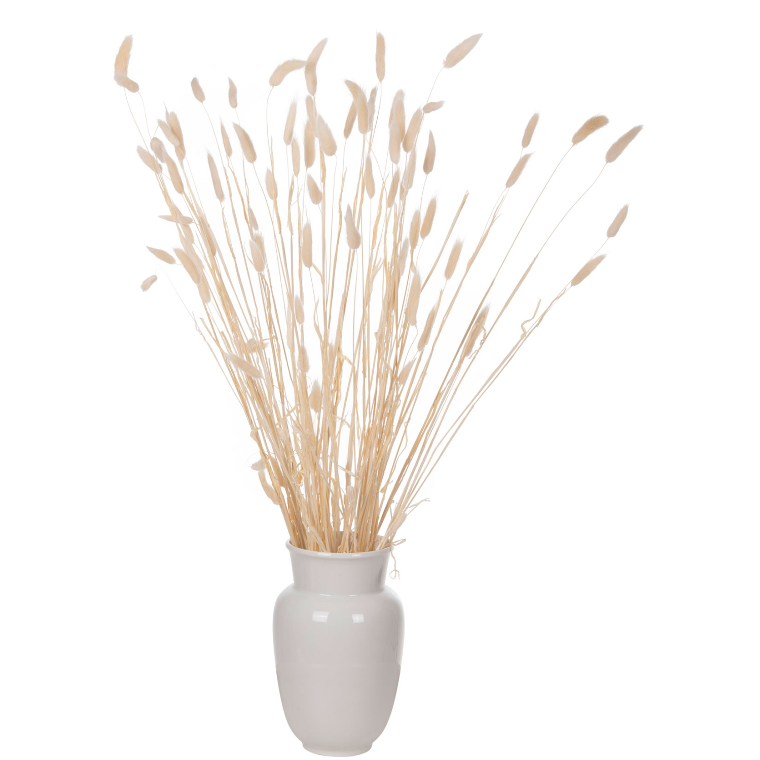 ΔΙΑΚΟΣΜΗΤΙΚΟ ΜΠΟΥΚΕΤΟ ΑΠΟΞΗΡΑΜΕΝΟ HM7959 RABBIT TAIL- CREAM 50gr 76Υεκ. - Image 4