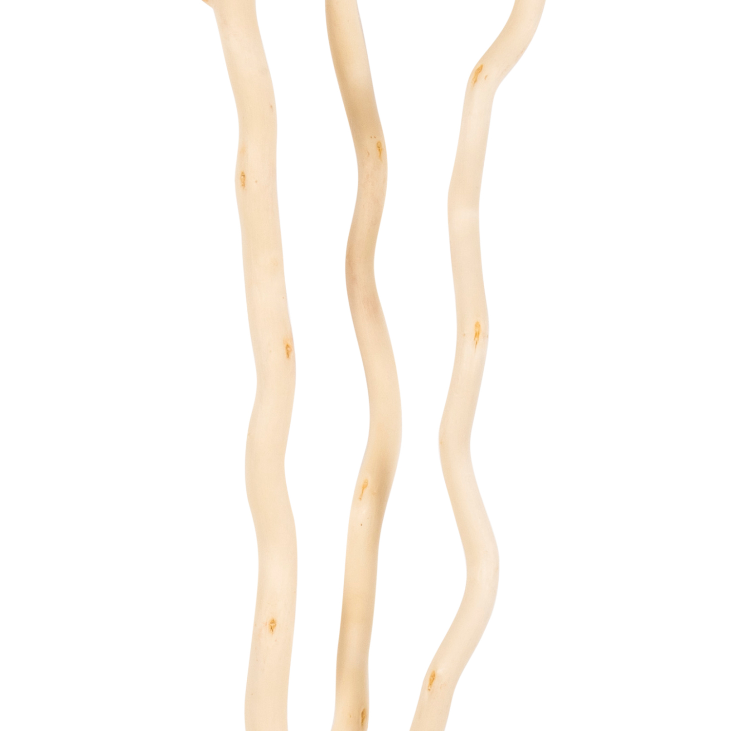 ΔΙΑΚΟΣΜΗΤΙΚΟ ΜΠΟΥΚΕΤΟ HM7967 3ΤΜΧ ΑΠΟΞΗΡΑΜΕΝΩΝ ΚΛΑΔΙΩΝ ΛΕΥΚΗΣ ΜΟΥΡΙΑΣ ΕΚΡΟΥ 180Υεκ. - Image 3