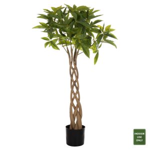 ΔΙΑΚΟΣΜΗΤΙΚΟ ΣΥΝΘΕΤΙΚΟ ΦΥΤΟ HM4001 ΠΑΧΥΡΑ (Η "ΛΕΦΤΟΔΕΝΤΡΟ") ΣΕ ΓΛΑΣΤΡΑ 116Υεκ.