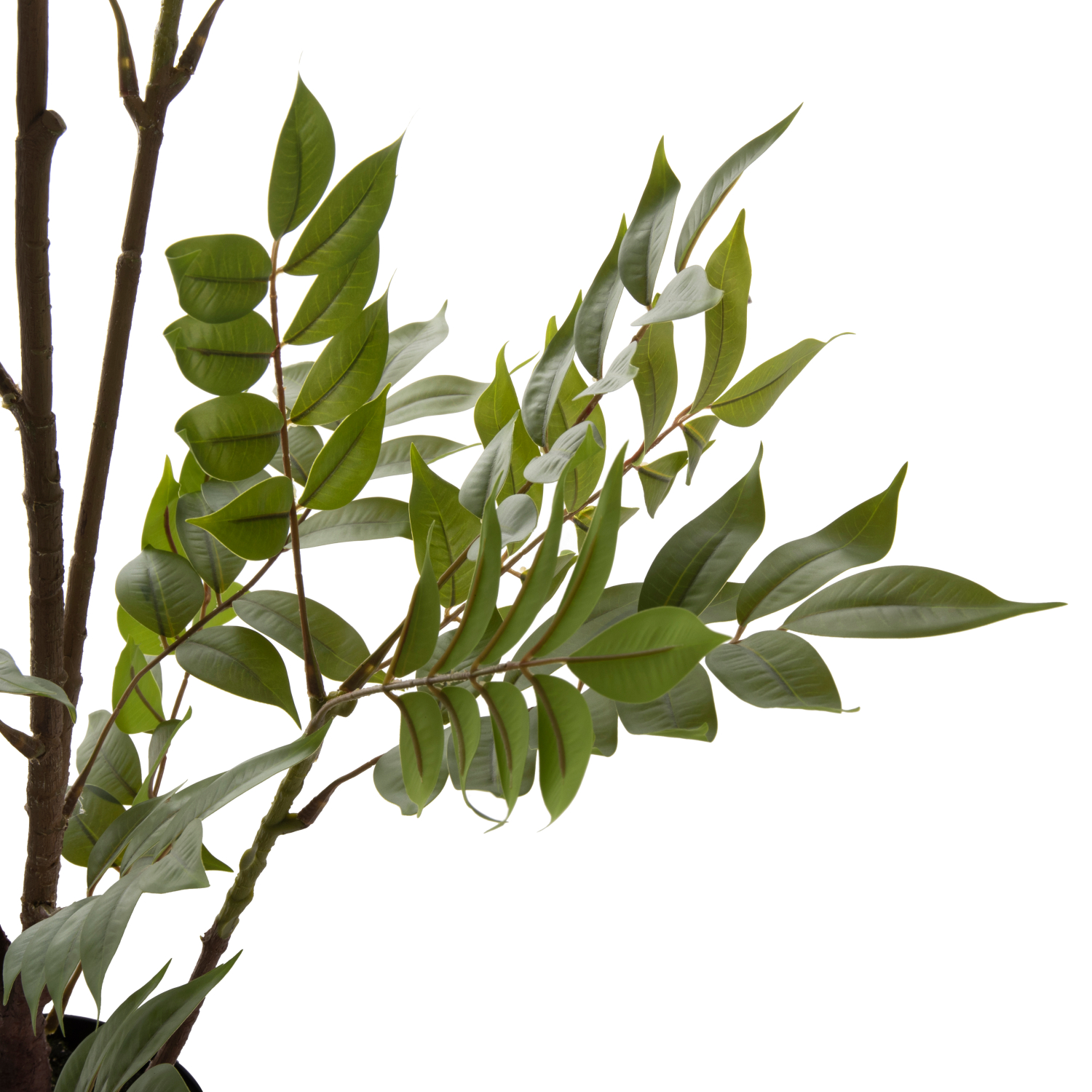 ΔΙΑΚΟΣΜΗΤΙΚΟ ΣΥΝΘΕΤΙΚΟ ΦΥΤΟ HM4005 ΔΕΝΤΡΟ ΣΕ ΓΛΑΣΤΡΑ 112Υεκ. - Image 3