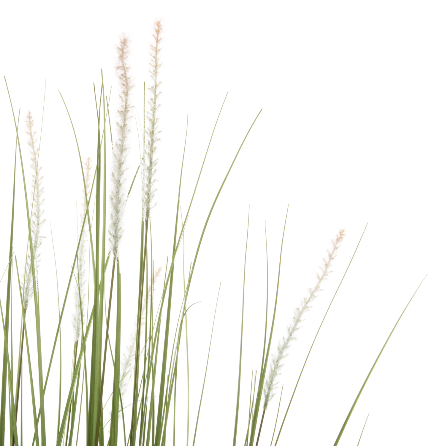 ΔΙΑΚΟΣΜΗΤΙΚΟ ΣΥΝΘΕΤΙΚΟ ΦΥΤΟ HM4017 BRISTLEGRASS ΣΕ ΓΛΑΣΤΡΑ 173Υεκ. - Image 4