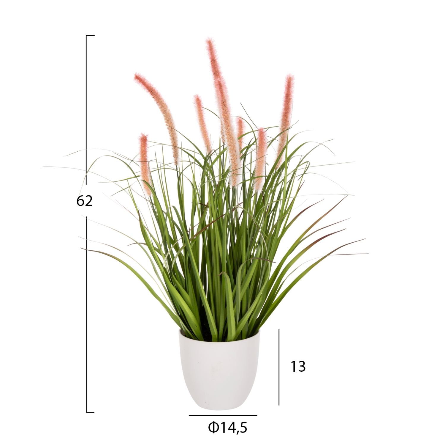 ΔΙΑΚΟΣΜΗΤΙΚΟ ΣΥΝΘΕΤΙΚΟ ΦΥΤΟ HM4029 BRISTLEGRASS ΣΕ ΓΛΑΣΤΡΑ Φ14,5x13-62Yεκ. - Image 2