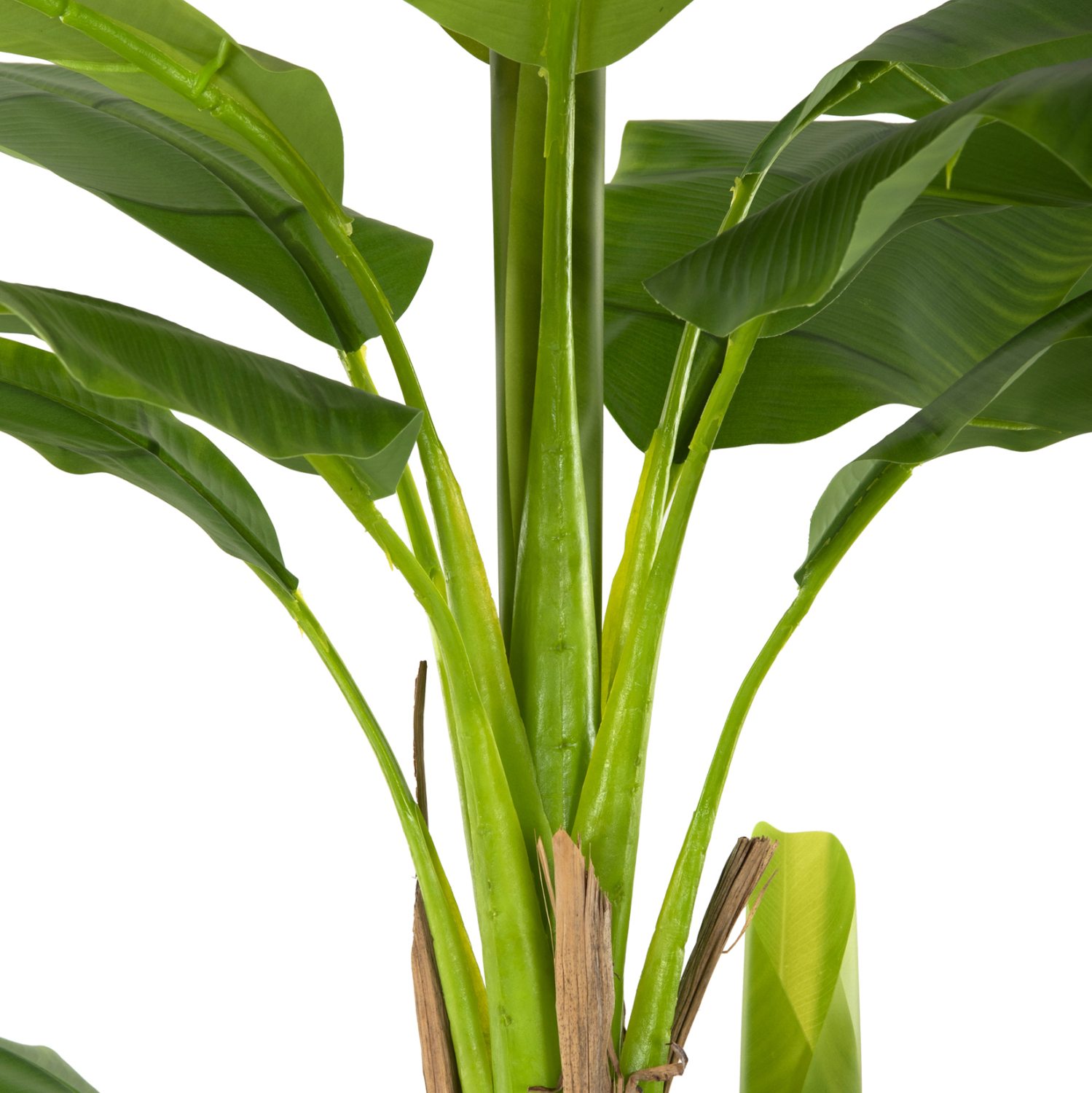 ΔΙΑΚΟΣΜΗΤΙΚΟ ΣΥΝΘΕΤΙΚΟ ΦΥΤΟ HM7978 ΔΕΝΤΡΟ ΜΠΑΝΑΝΑΣ ΣΕ ΓΛΑΣΤΡΑ 200Υεκ. - Image 4