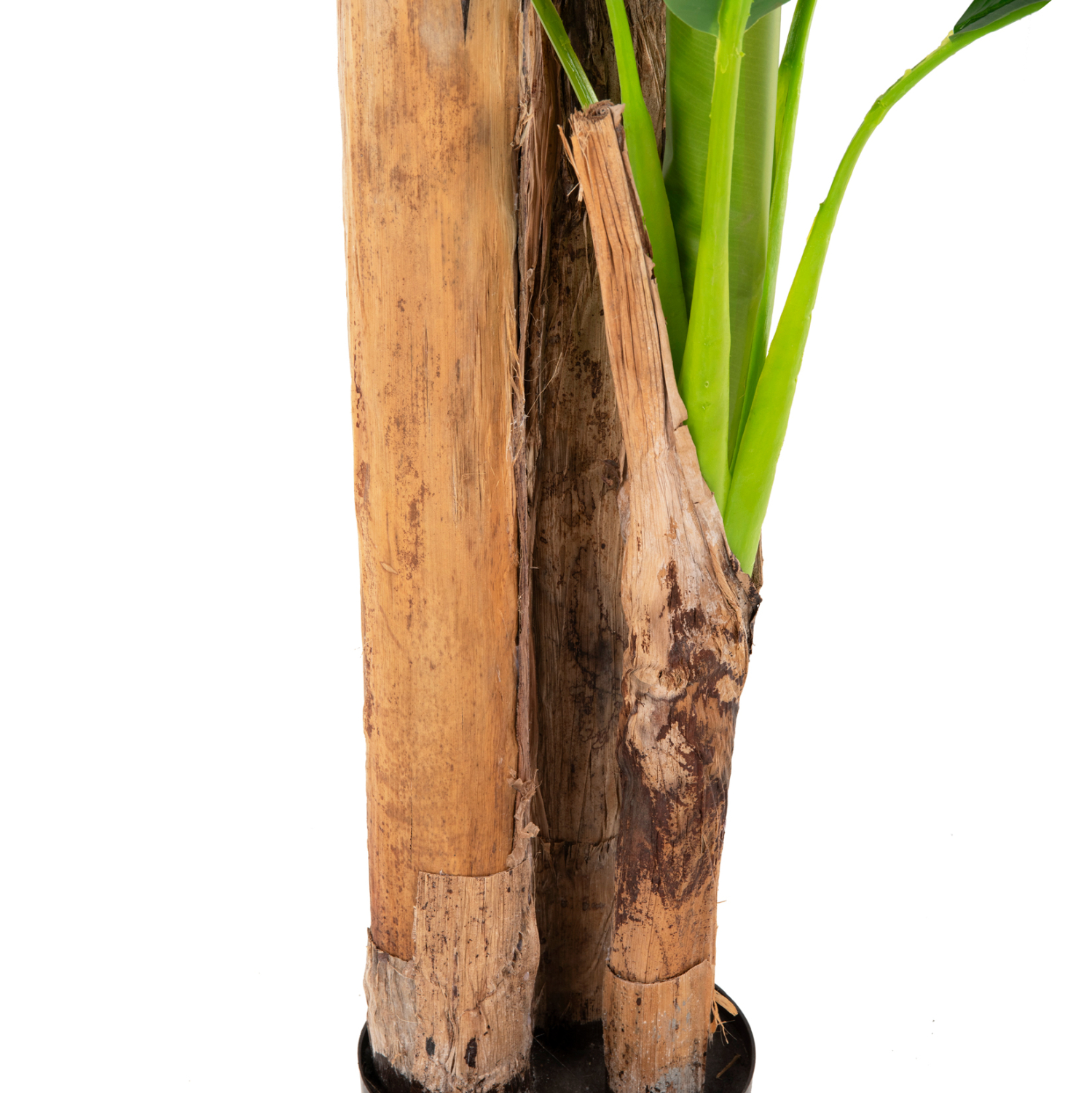 ΔΙΑΚΟΣΜΗΤΙΚΟ ΣΥΝΘΕΤΙΚΟ ΦΥΤΟ HM7978 ΔΕΝΤΡΟ ΜΠΑΝΑΝΑΣ ΣΕ ΓΛΑΣΤΡΑ 200Υεκ. - Image 5