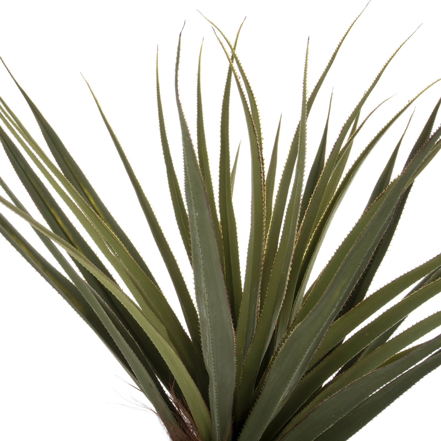 ΔΙΑΚΟΣΜΗΤΙΚΟ ΣΥΝΘΕΤΙΚΟ ΦΥΤΟ HM7989 ΔΕΝΤΡΟ SISAL ΣΕ ΓΛΑΣΤΡΑ 200Υεκ. - Image 3