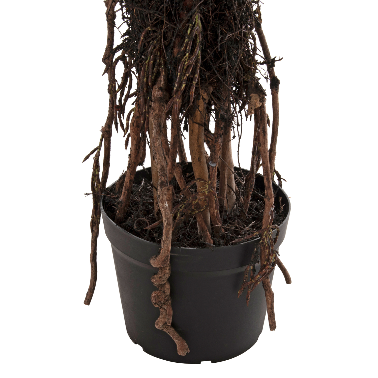 ΔΙΑΚΟΣΜΗΤΙΚΟ ΣΥΝΘΕΤΙΚΟ ΦΥΤΟ HM7989 ΔΕΝΤΡΟ SISAL ΣΕ ΓΛΑΣΤΡΑ 200Υεκ. - Image 4