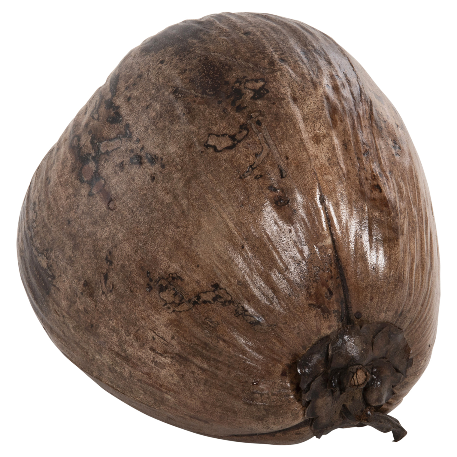 ΕΠΙΤΡΑΠΕΖΙΟ ΔΙΑΚΟΣΜΗΤΙΚΟ HM4326.01 ΚΑΡΥΔΑ ΣΕ ΦΥΣΙΚΟ ΧΡΩΜΑ 20x20x20Υεκ - Image 3